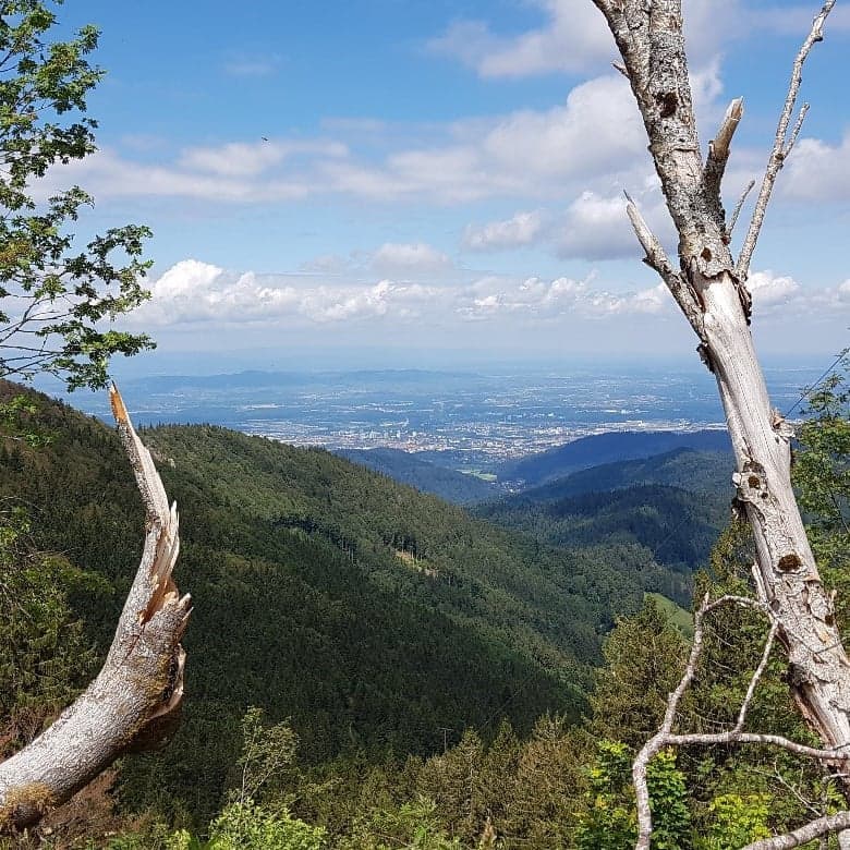 Betriebsausflug – Berggeheimnis Cover